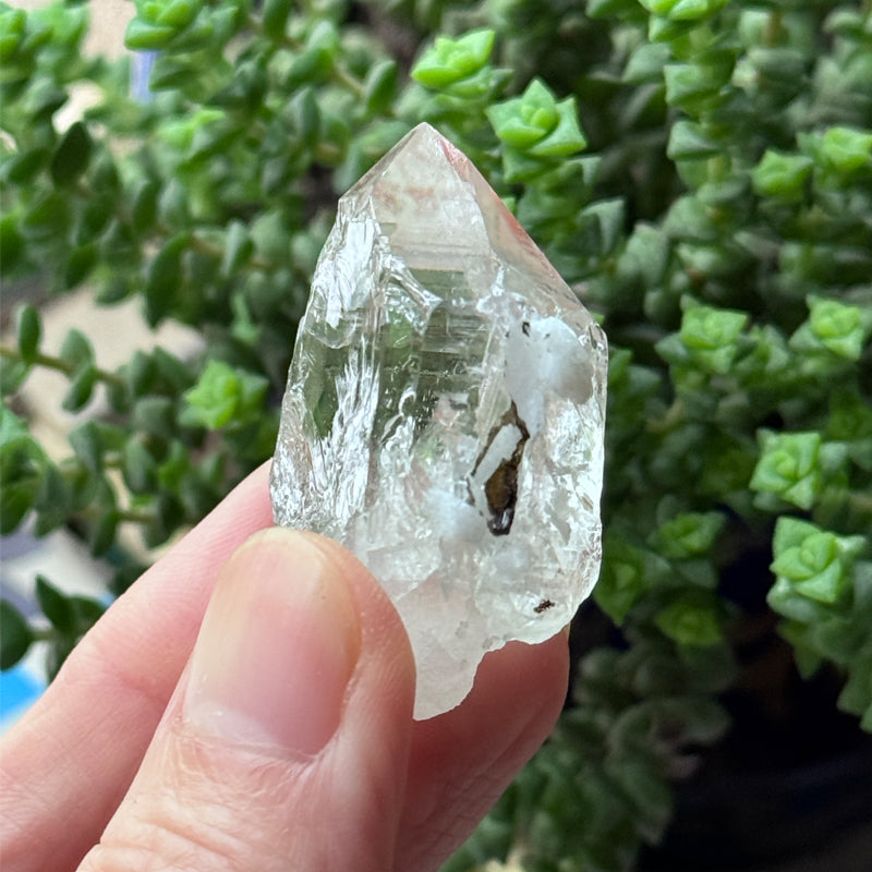 Himalayan Clear Quartz Palm Stone - Pure Energy Meditation Crystal