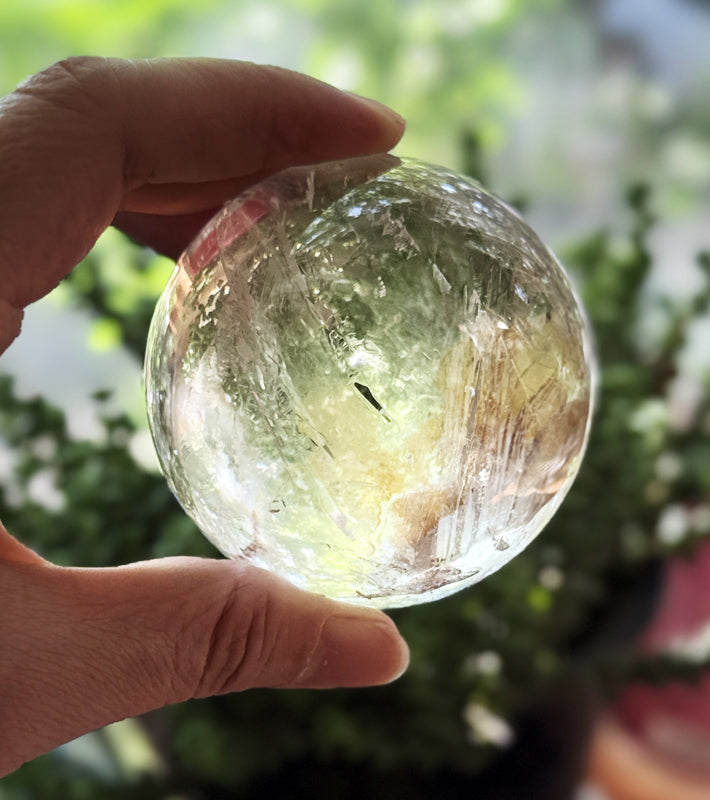Golden Butterfly Crystal Ball (6.6cm) - Rare Garden Scene Quartz Sphere with Sparkles